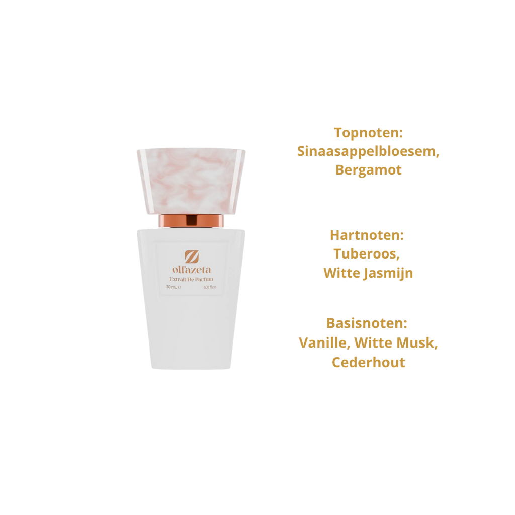 Chogan Nr.3132 Dames Parfum 30ml – Geïnspireerd op My Way