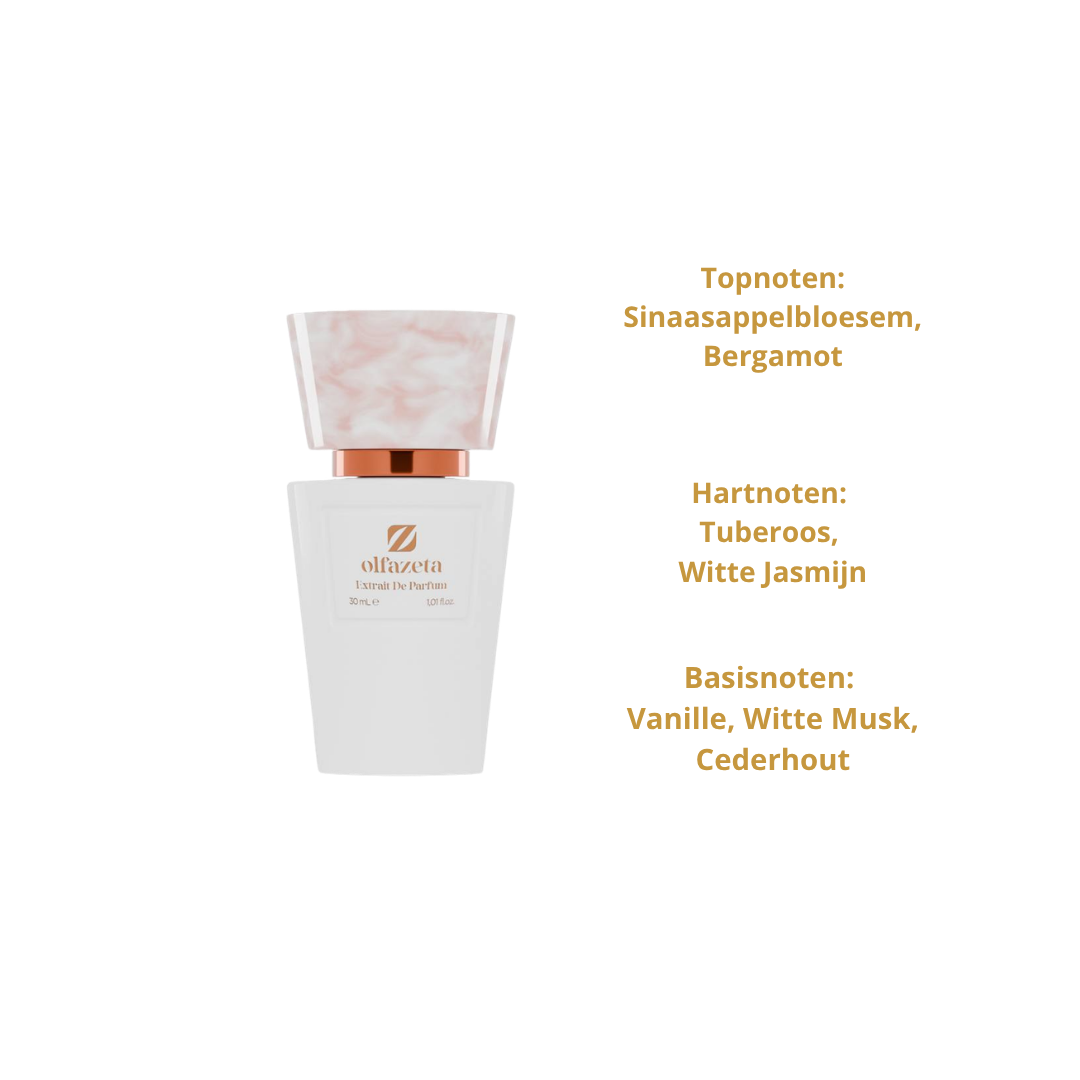 Chogan Nr.3132 Dames Parfum 30ml – Geïnspireerd op My Way