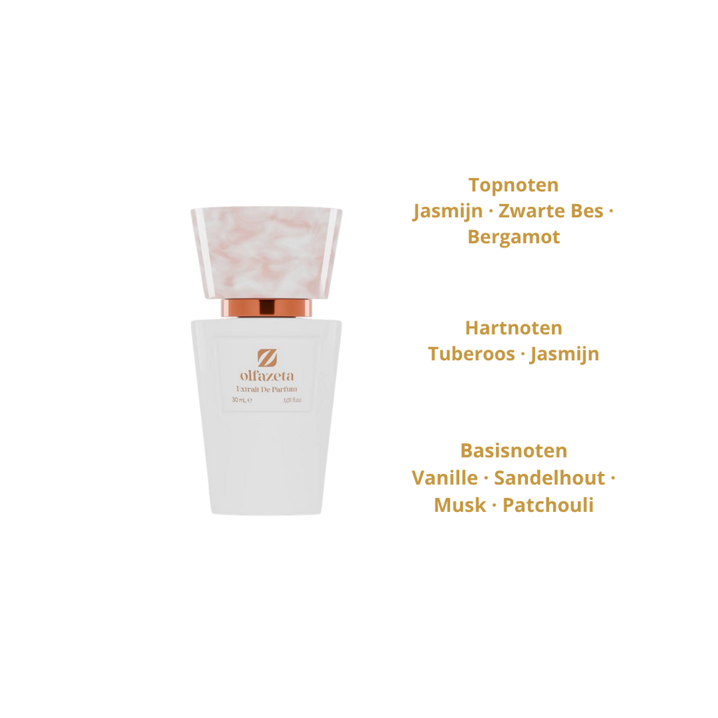 Chogan Nr.3161 Dames Parfum 30ml – Geïnspireerd op Born in Roma Intense