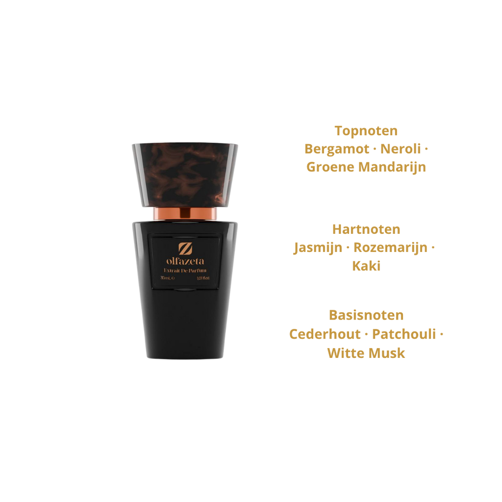 Chogan Nr.302 Heren Parfum 30ml – Geïnspireerd op Acqua di Gio