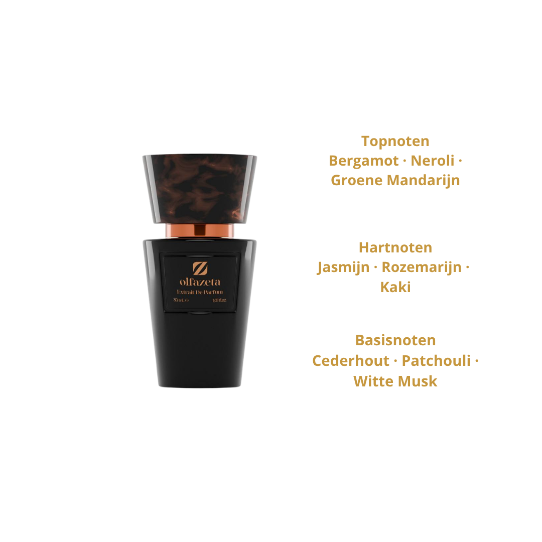 Chogan Nr.302 Heren Parfum 30ml – Geïnspireerd op Acqua di Gio