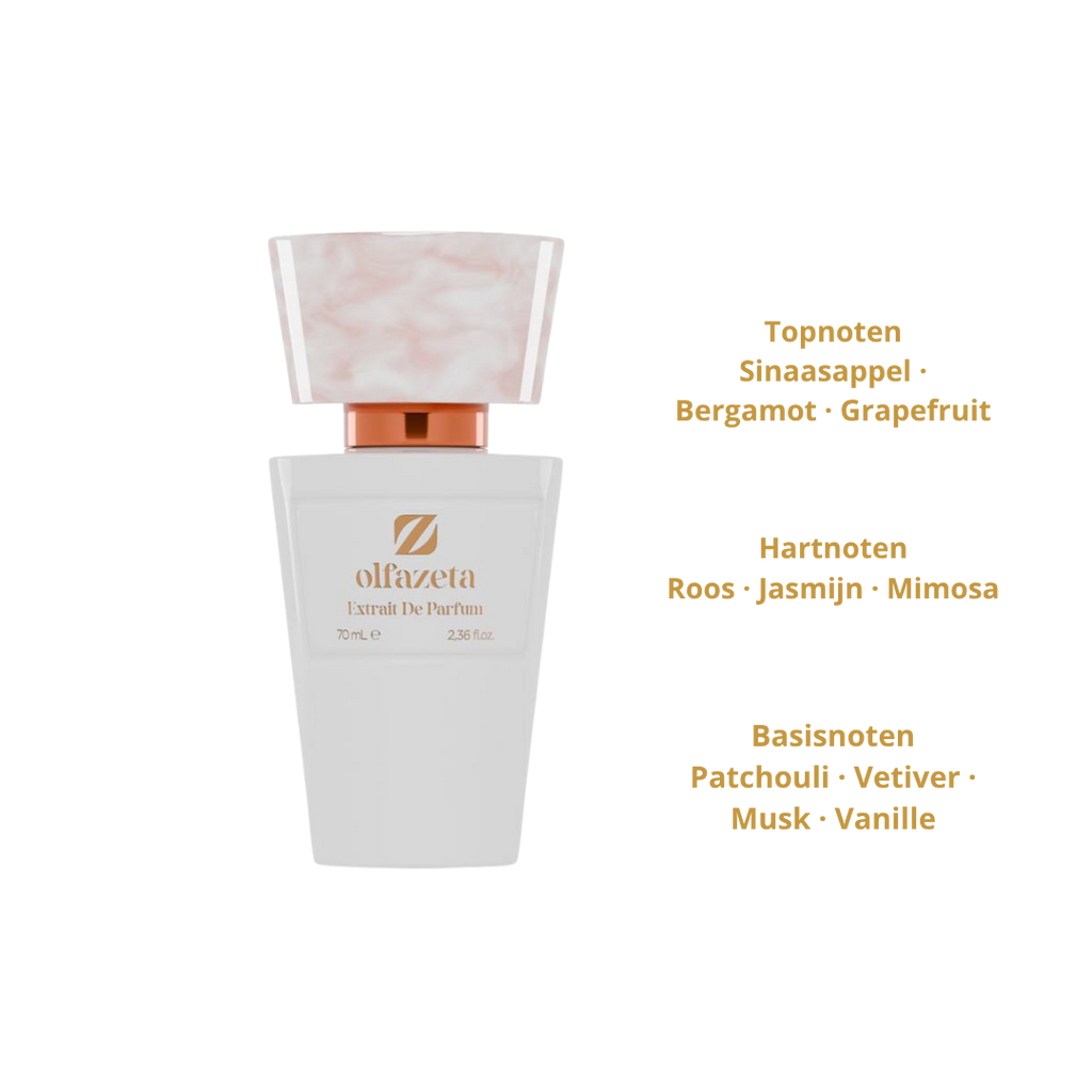 Chogan Nr.051 Dames Parfum 70ml – Geïnspireerd op Coco Mademoiselle